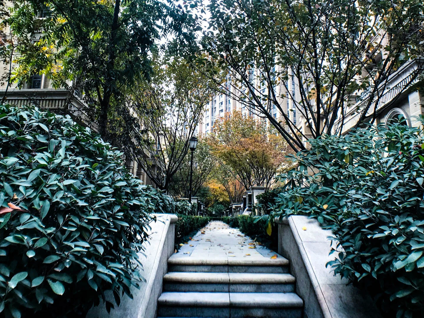 Lucky Peninsula - Photo 12