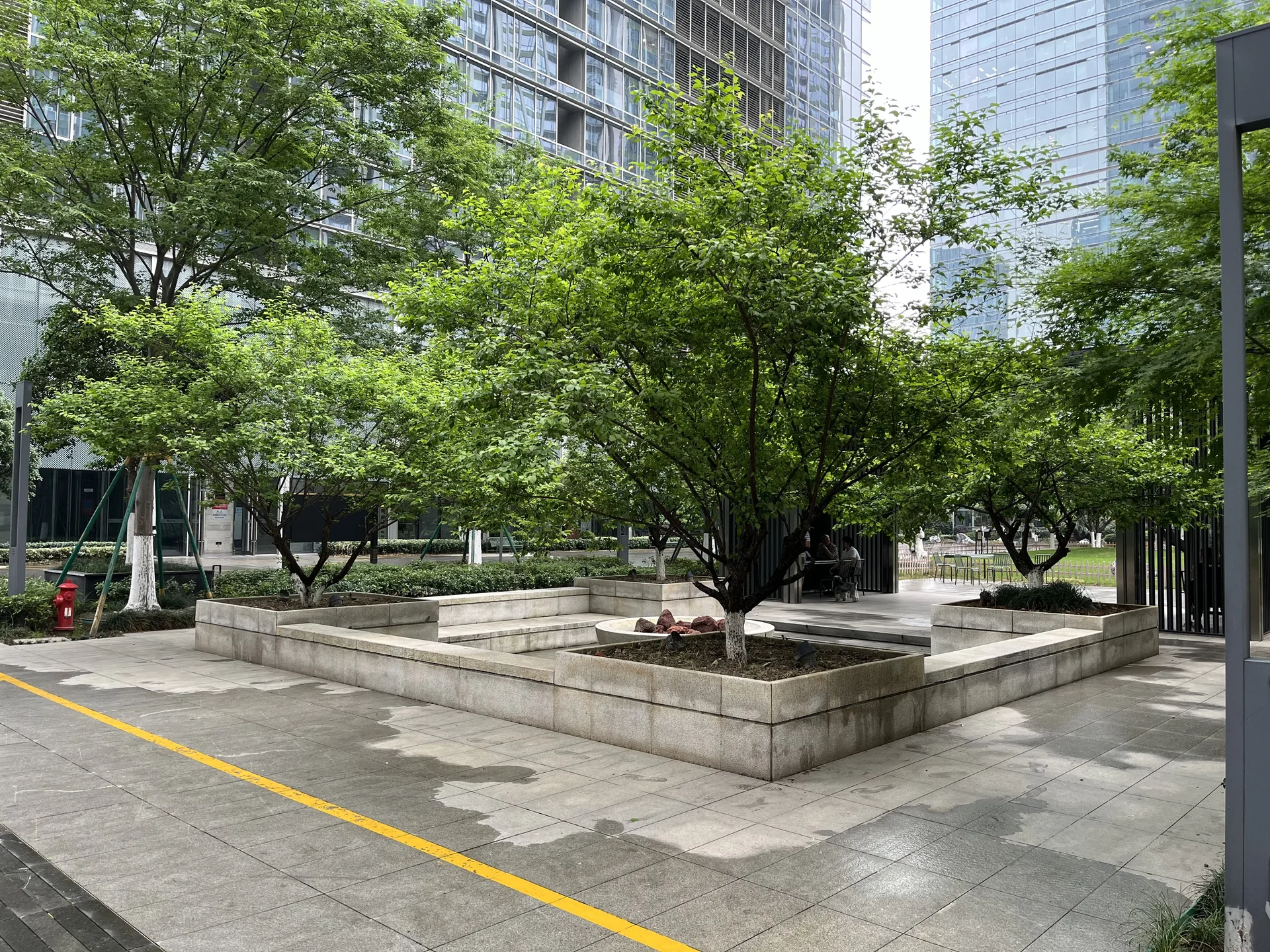 Dark Blue International Center - Photo 3