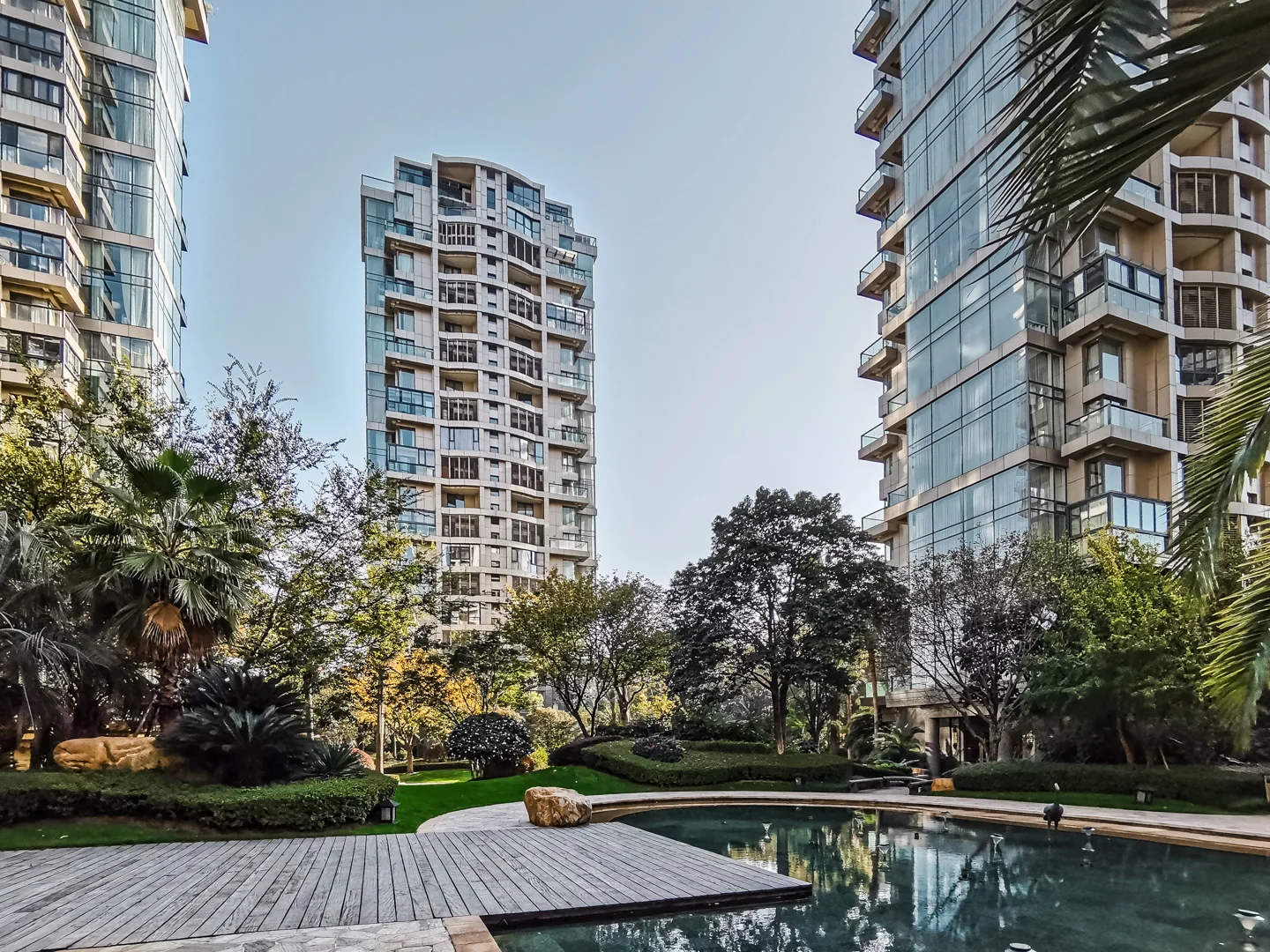 The Dreamland - Photo 3