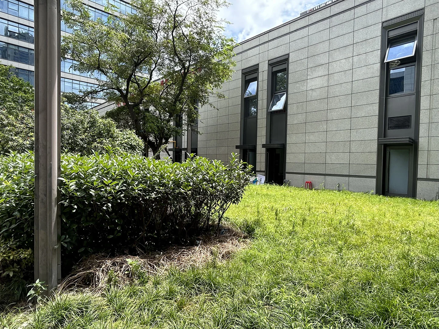 Times Heart - Photo 7