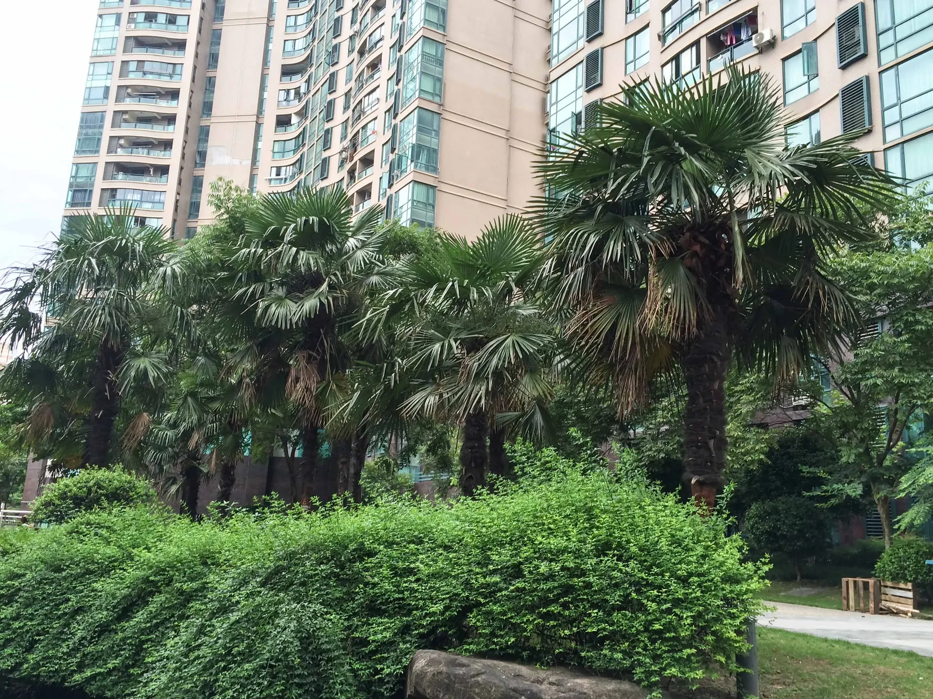 Spring River Times - Photo 6