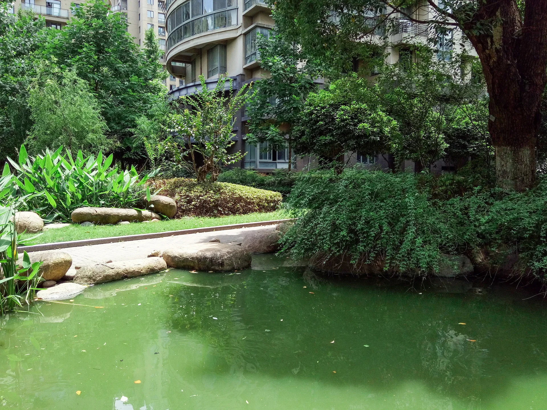 Red Street Apartments - Photo 9