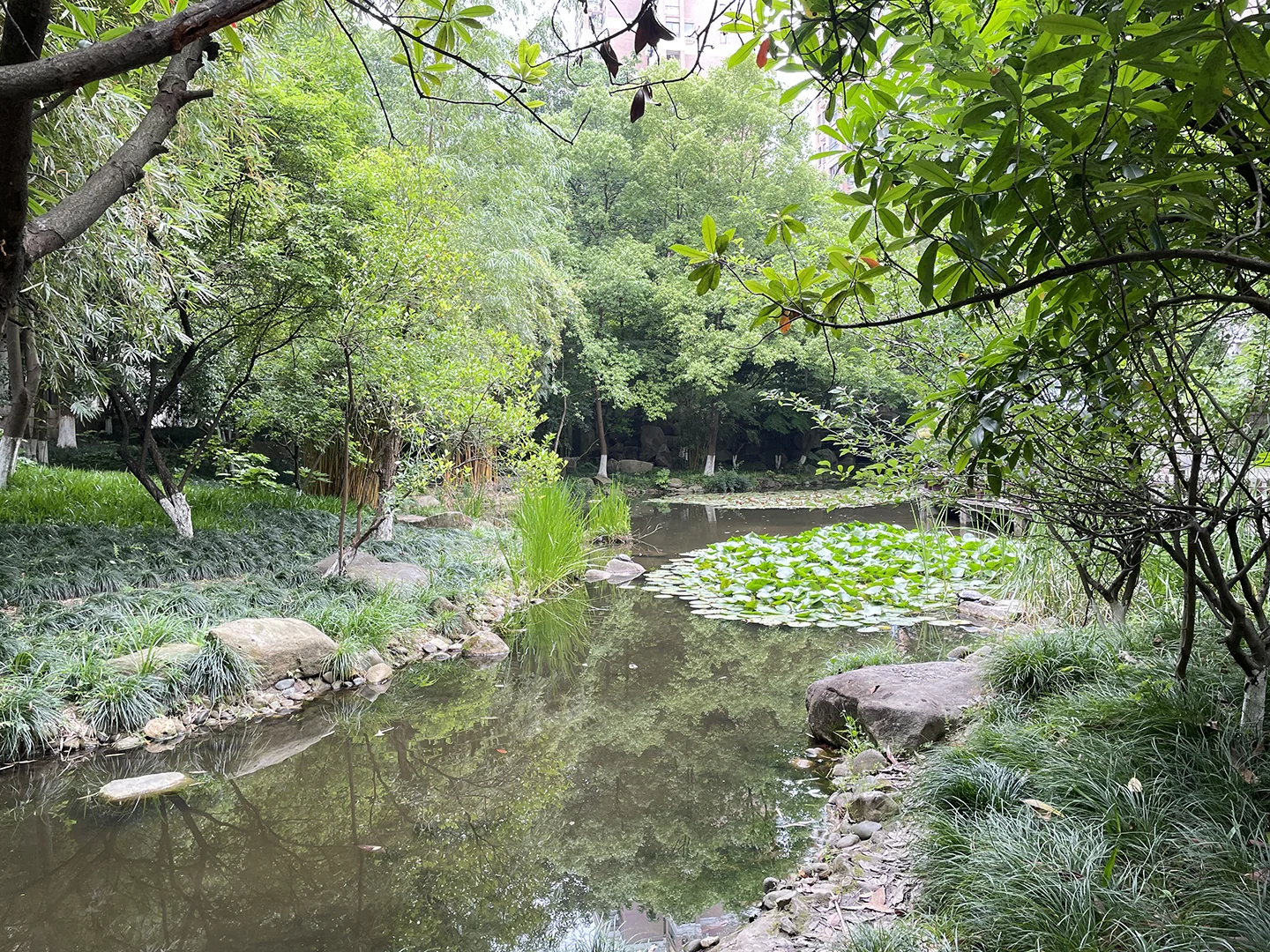 Platinum Shores - Photo 13