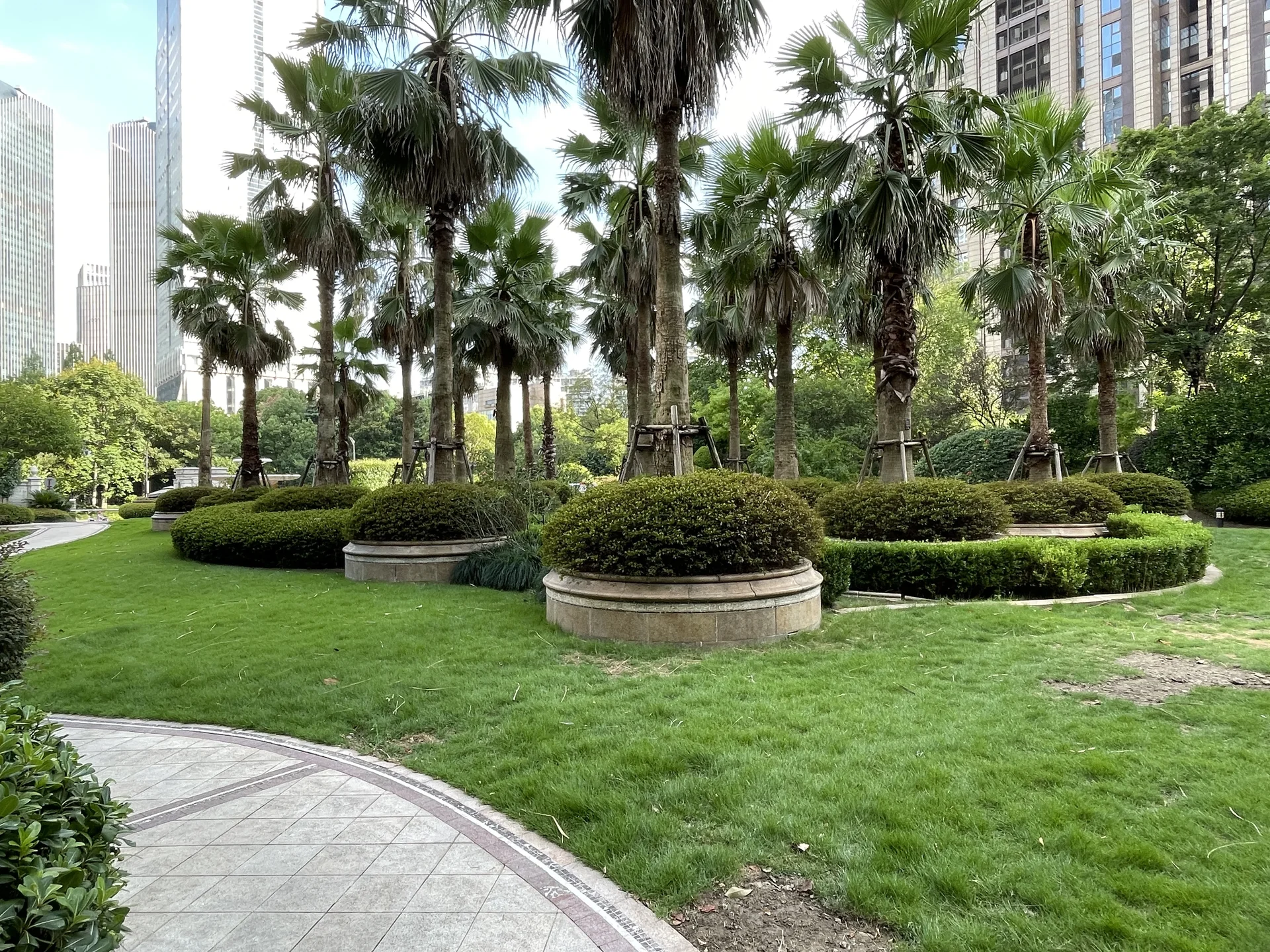 The City Star - Photo 11