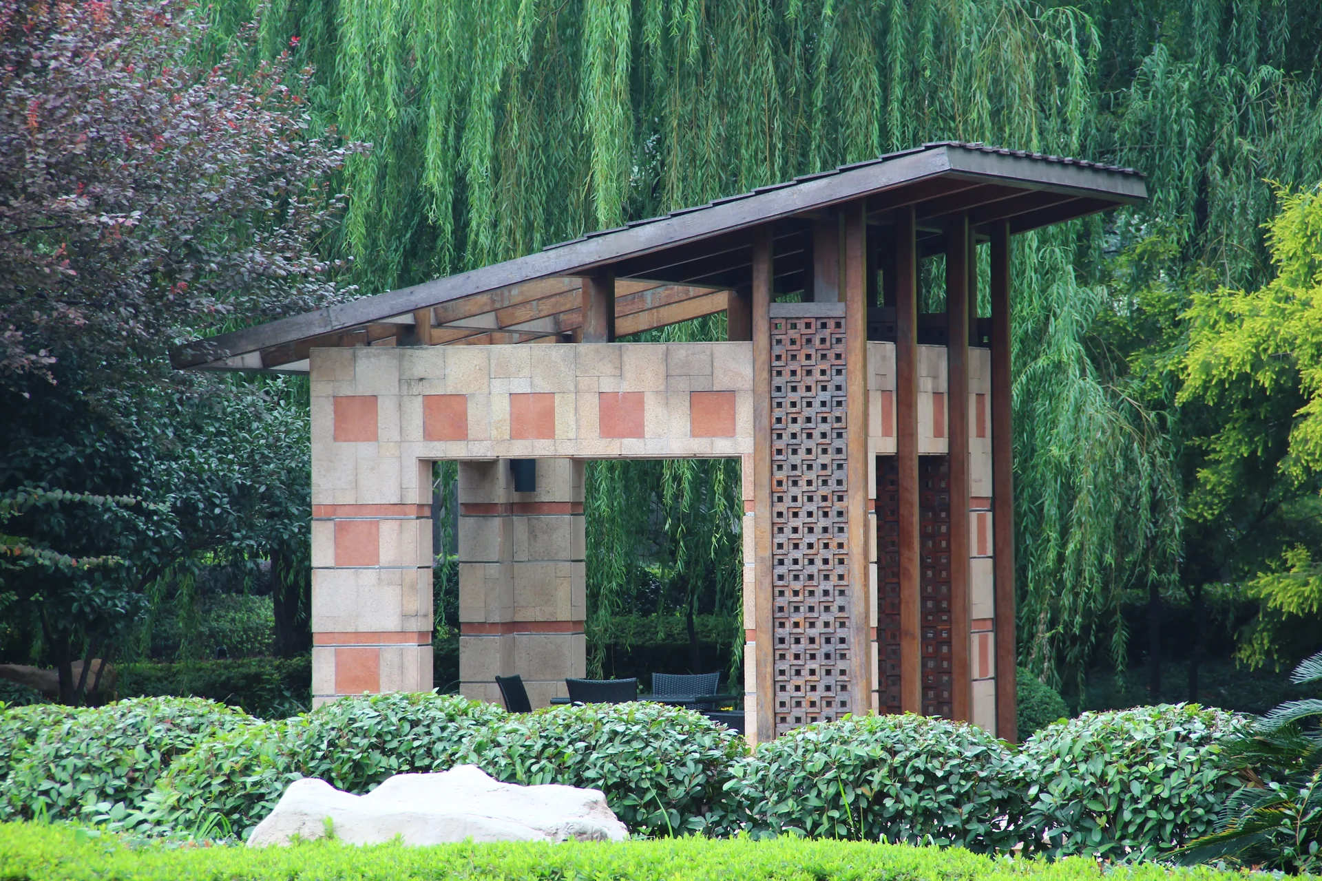 The Dreamland - Photo 34