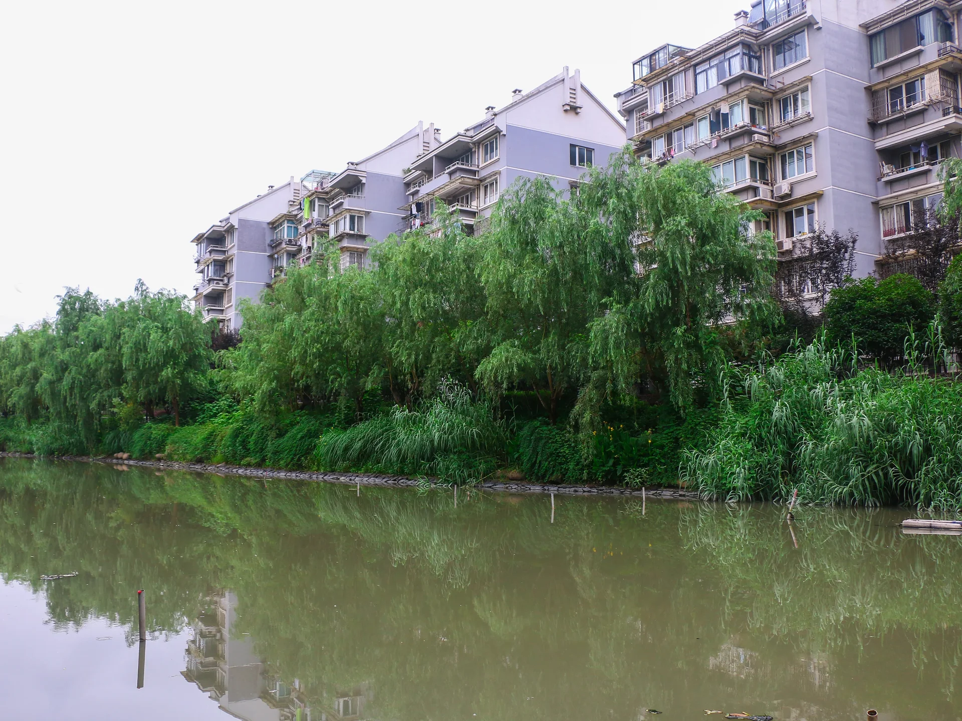 Sanli Garden II - Photo 22