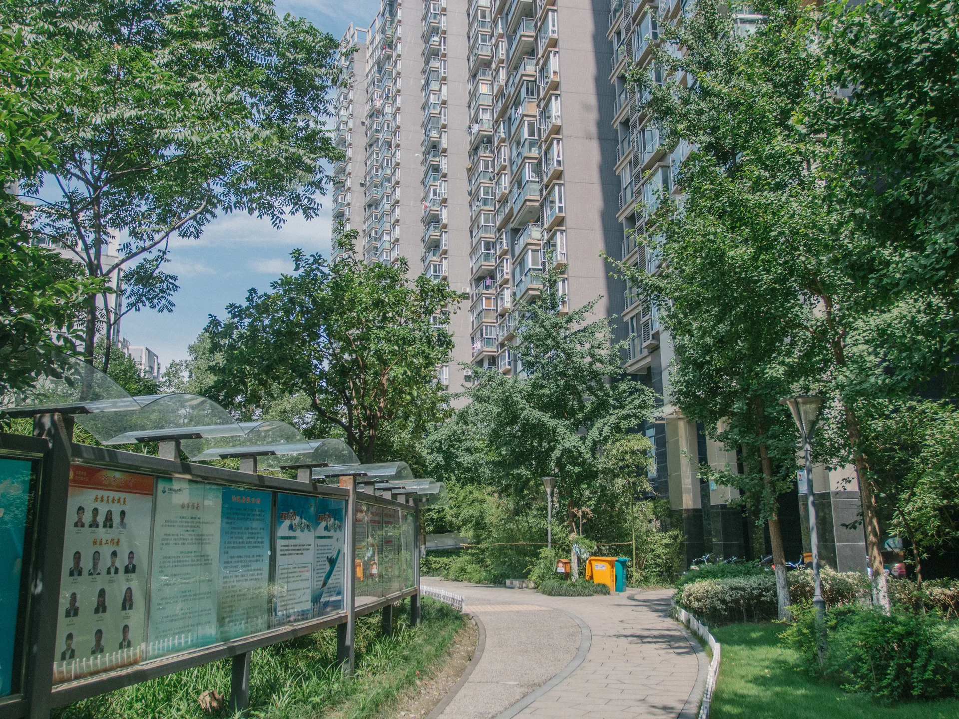 Modern  Garden - Photo 29