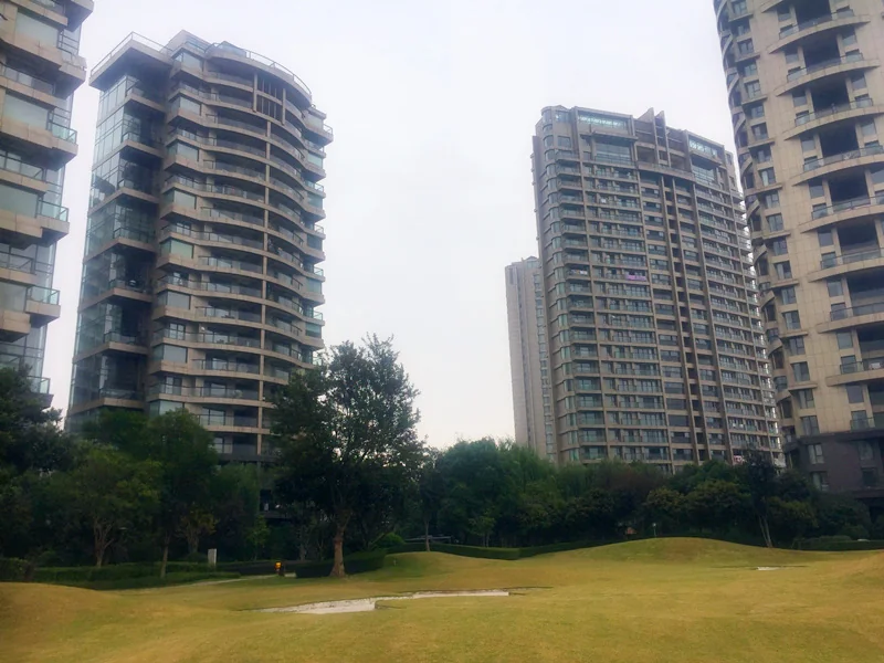 The Dreamland - Photo 7