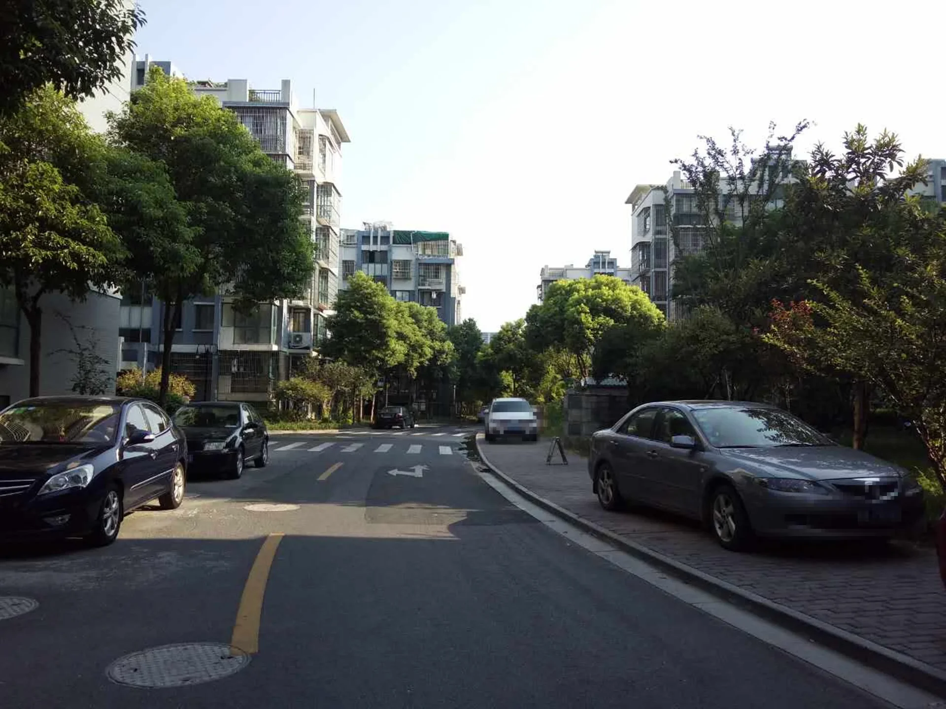 YC South Garden - Photo 38