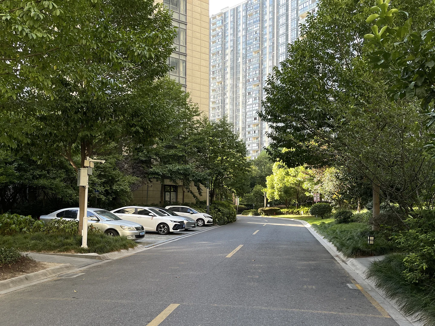 Lunar Glow Noble  - Photo 14