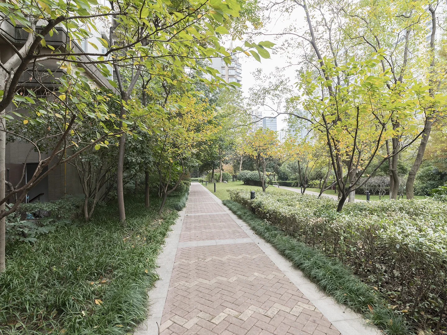 Ease Sky Plaza  - Photo 17