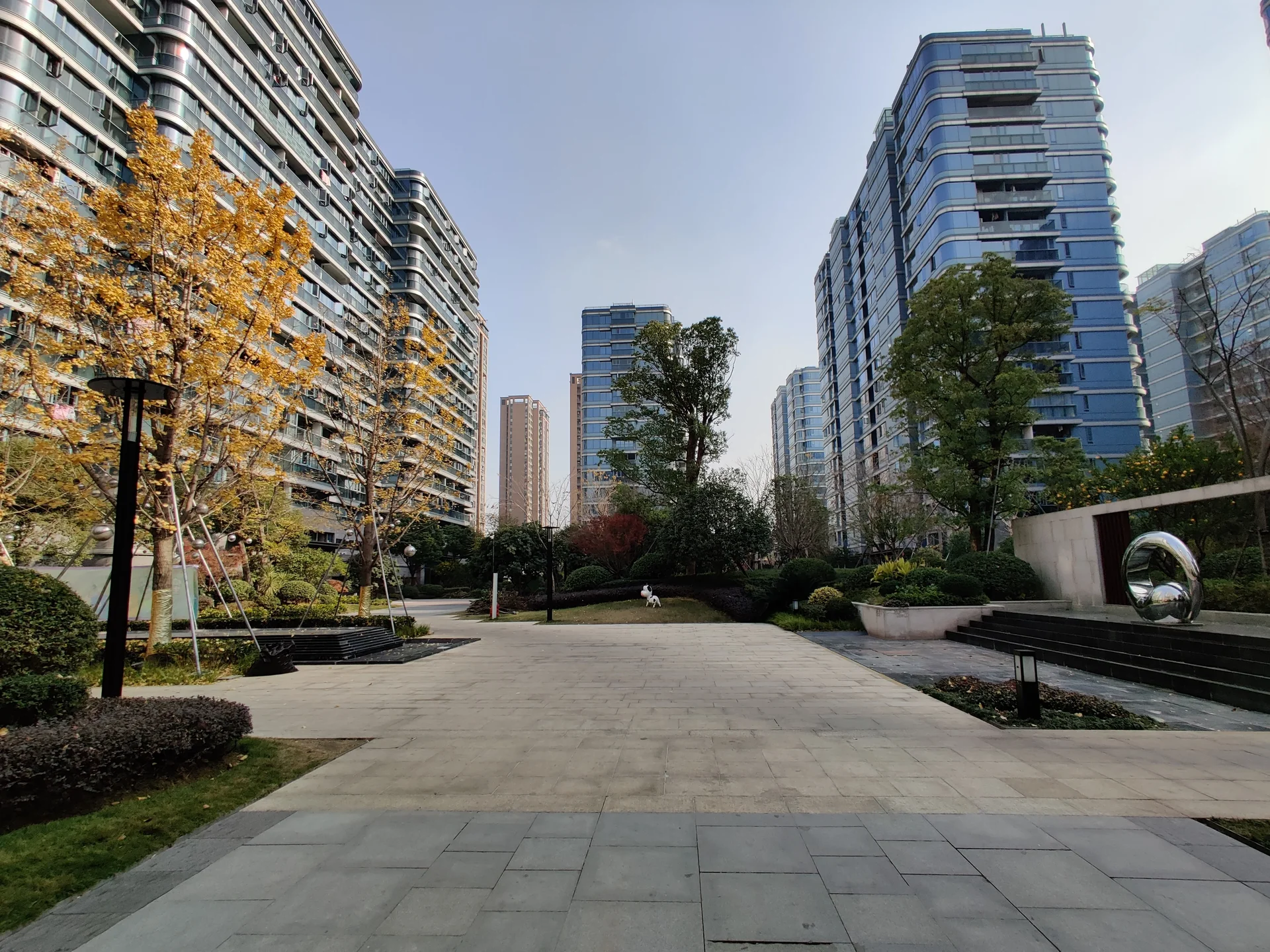 Blue Peacock - Photo 4