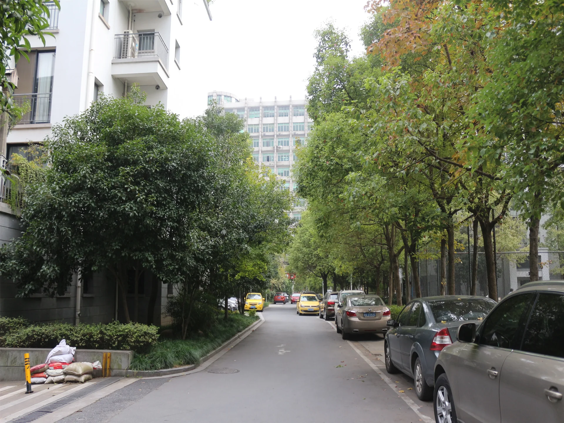 Jiangbin Garden - Photo 14