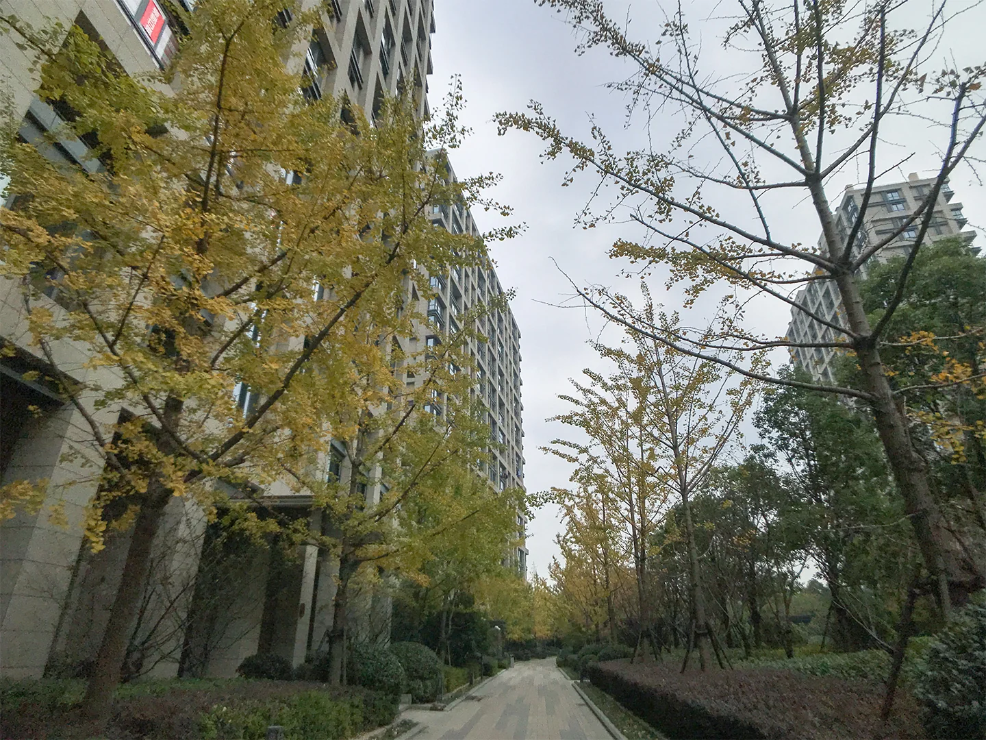 Genshan Mansion  - Photo 6