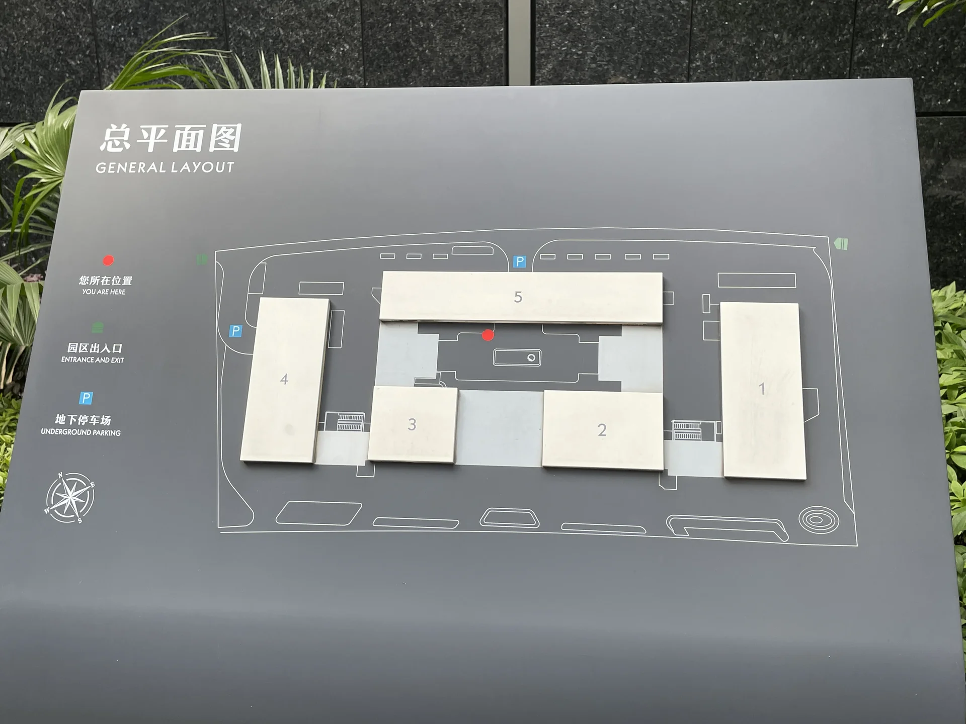 Star Tide Central - Photo 2