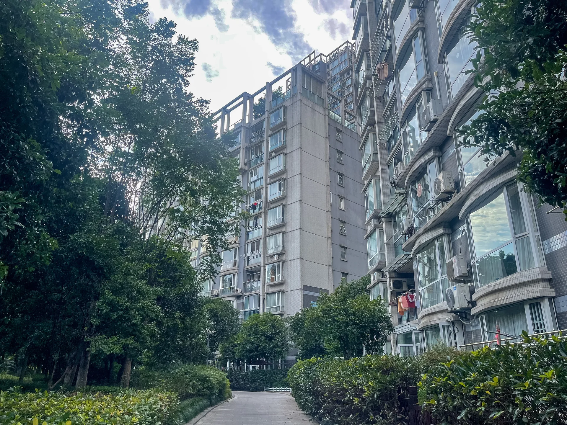 Modern  Garden - Photo 6