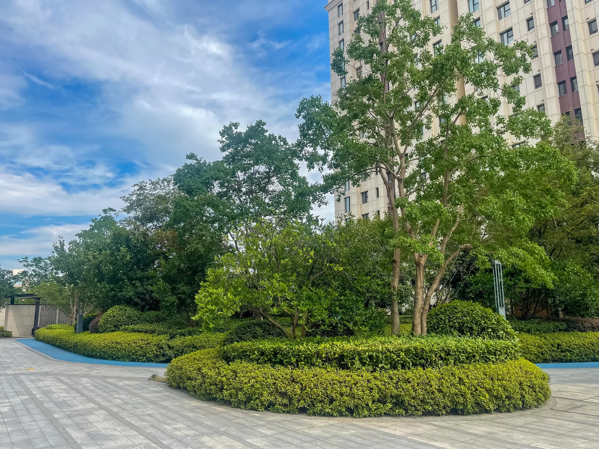 Landsea Bright Manor - Photo 11