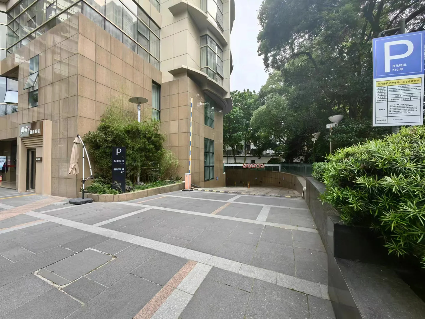 Oriental Golden - Photo 14