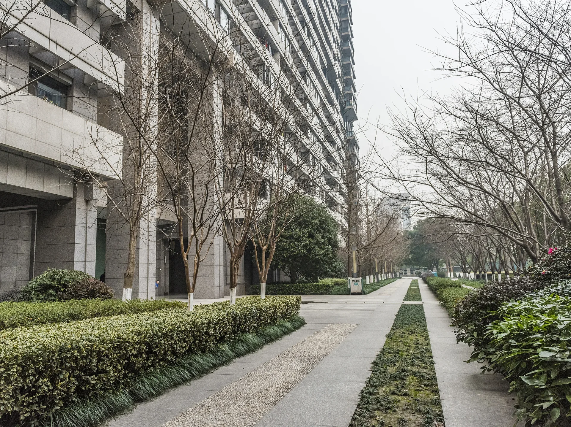 Jindu Matrix - Photo 15