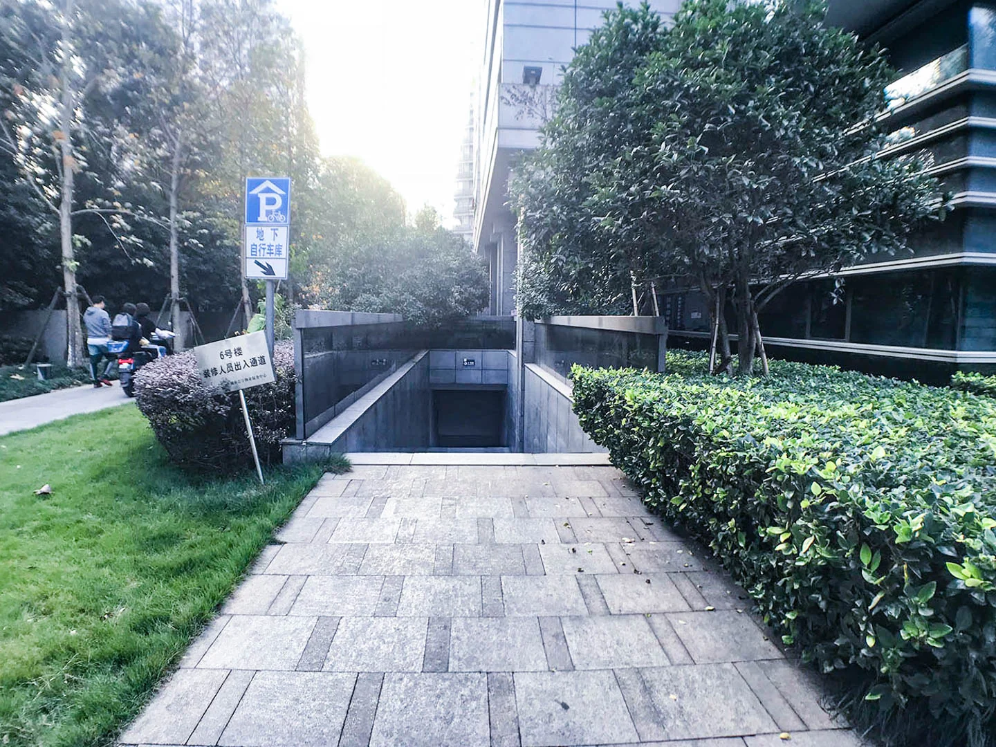 Jindu Matrix - Photo 34