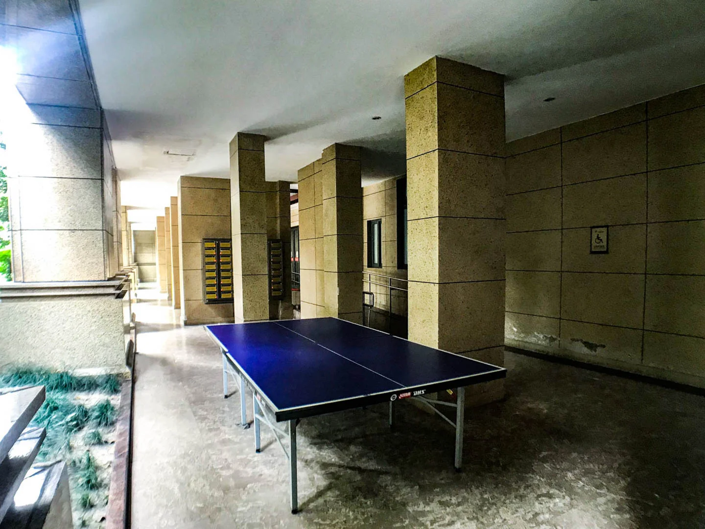 Lucky Peninsula - Photo 9