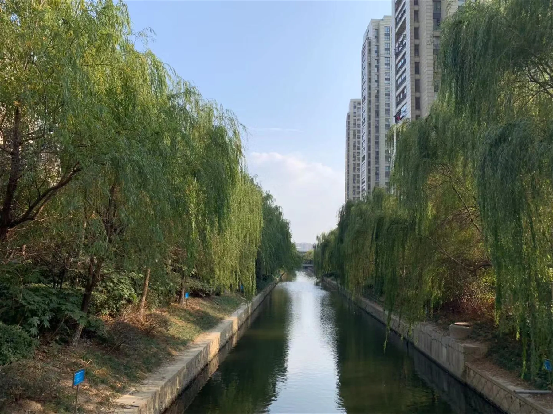 Skyward Peninsula Grand Manor - Photo 14