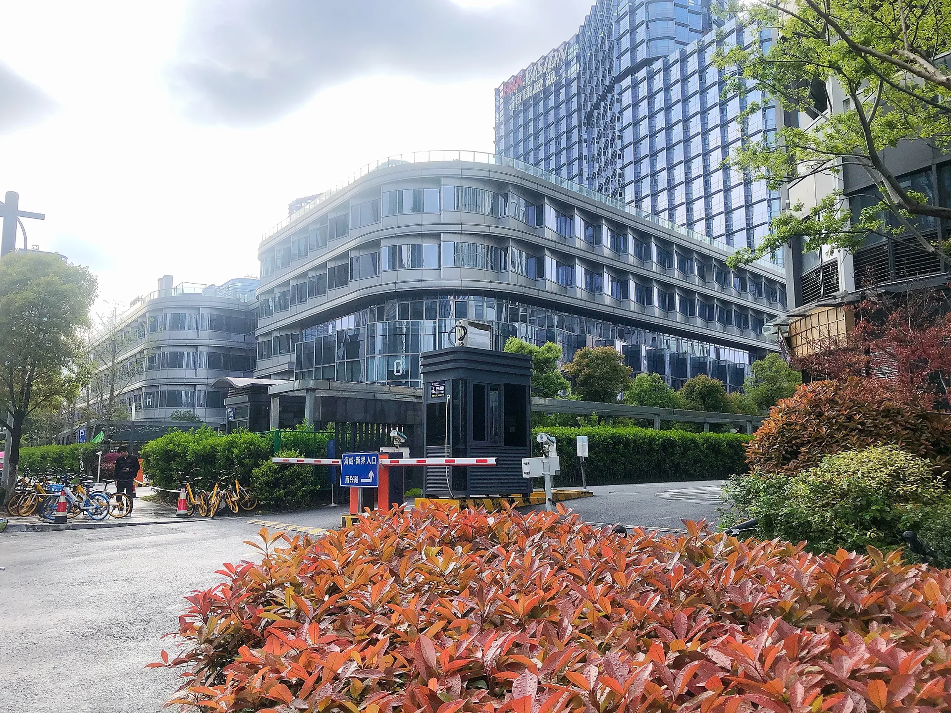 The New Edge - Photo 4