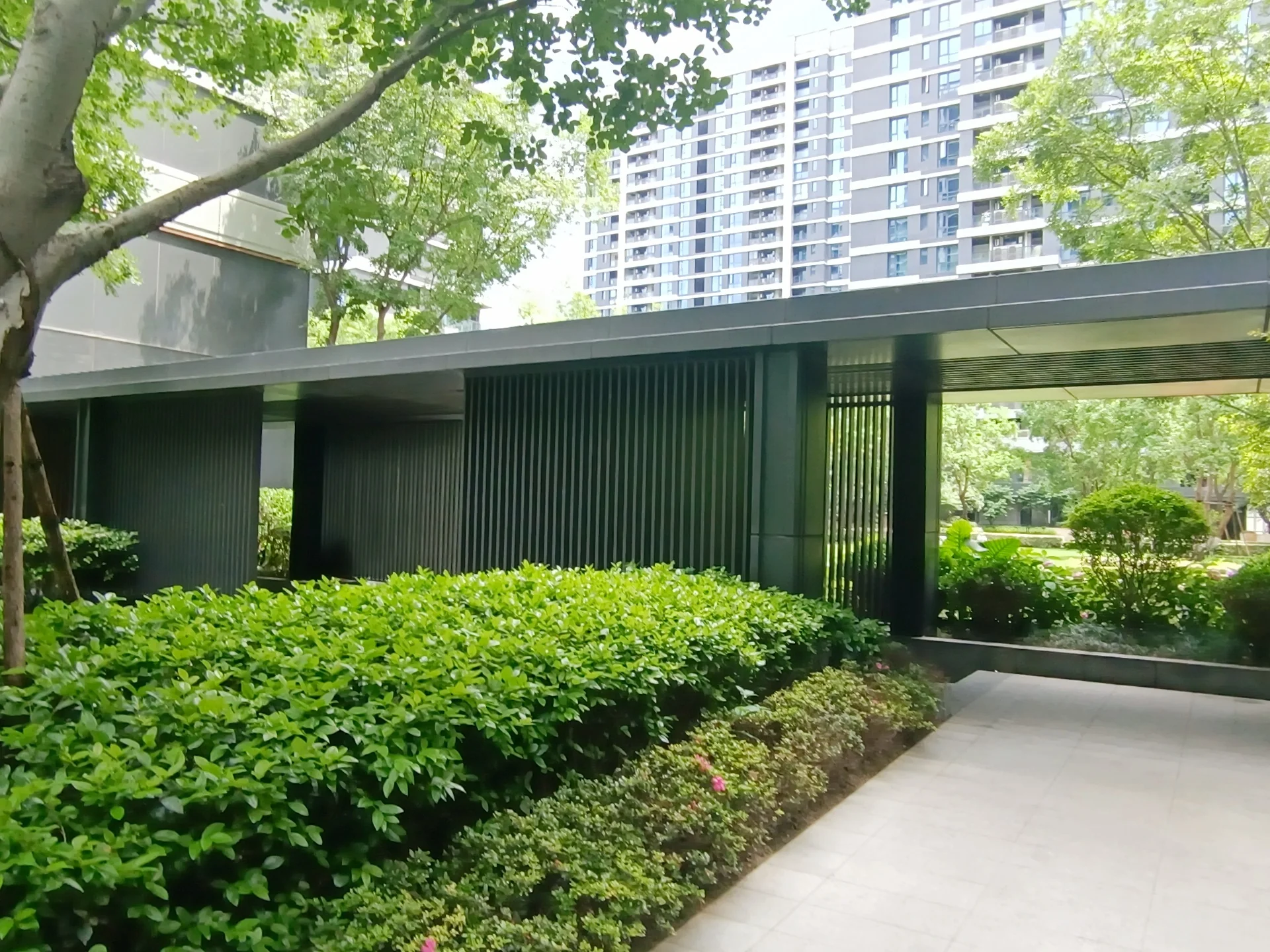 Yin Future - Photo 10