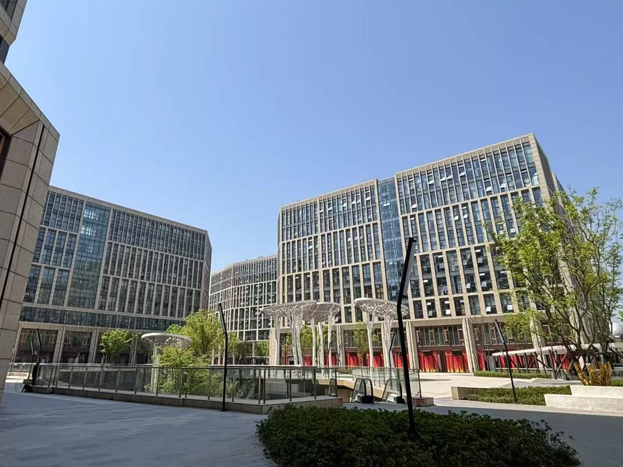 Xixi Noble Joy - Photo 7