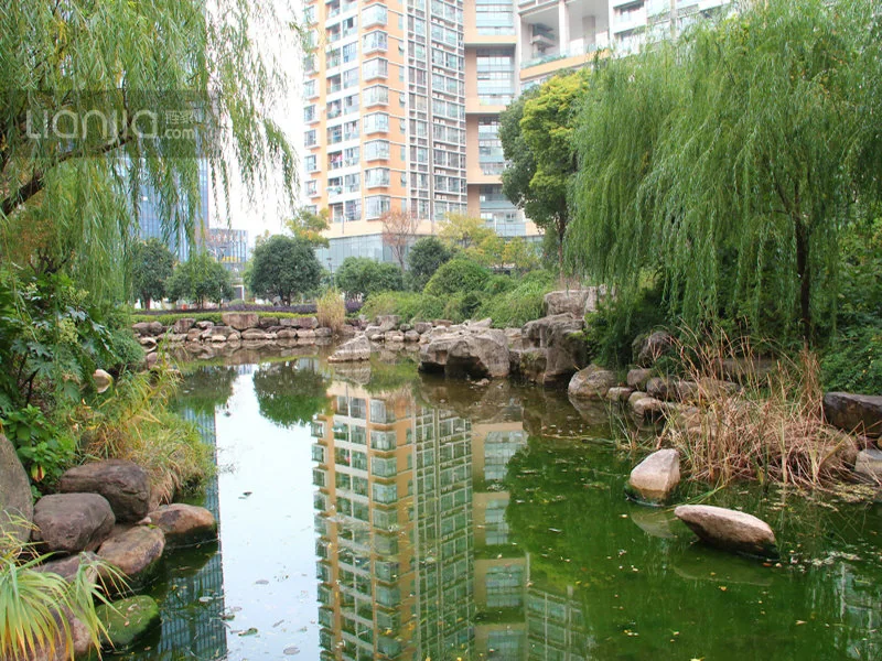 Ease Sky Plaza  - Photo 10