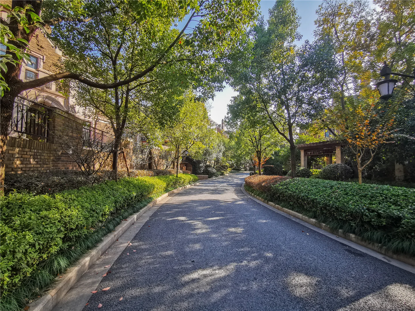 Xixi Rose Garden - Photo 10