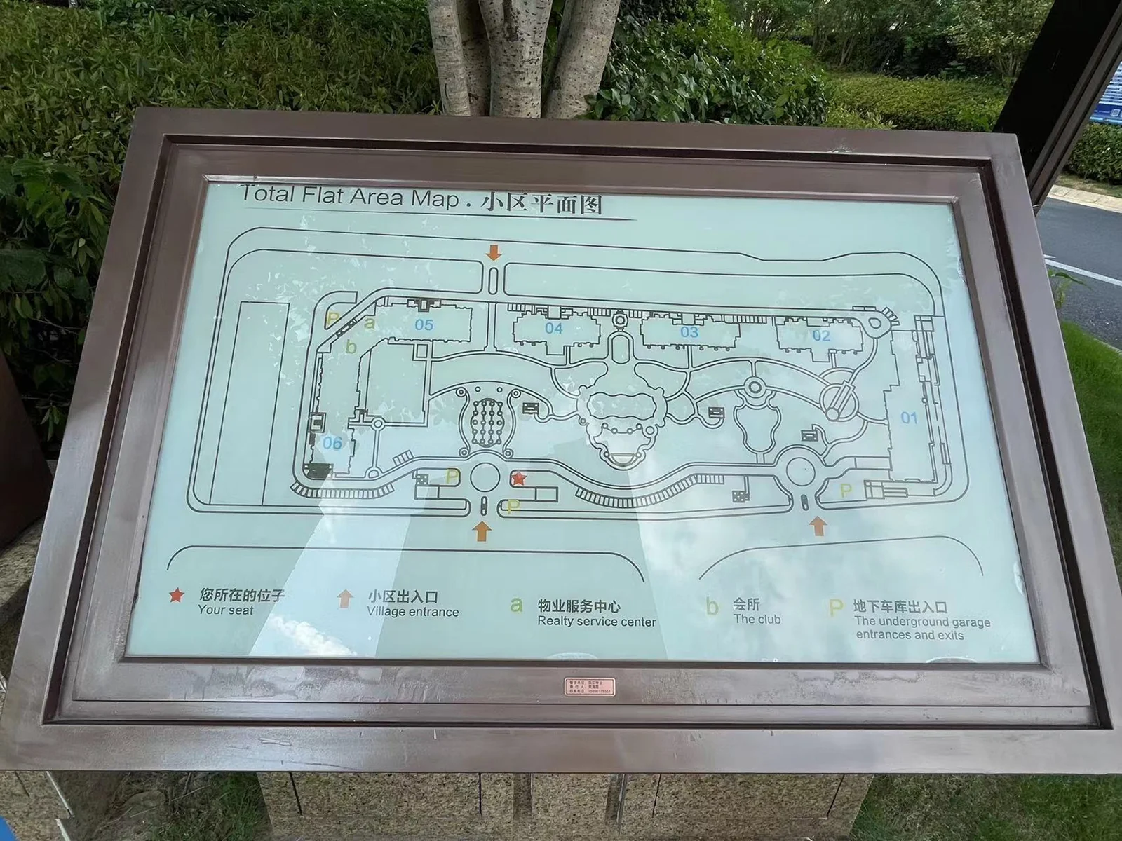 The City Star - Photo 4