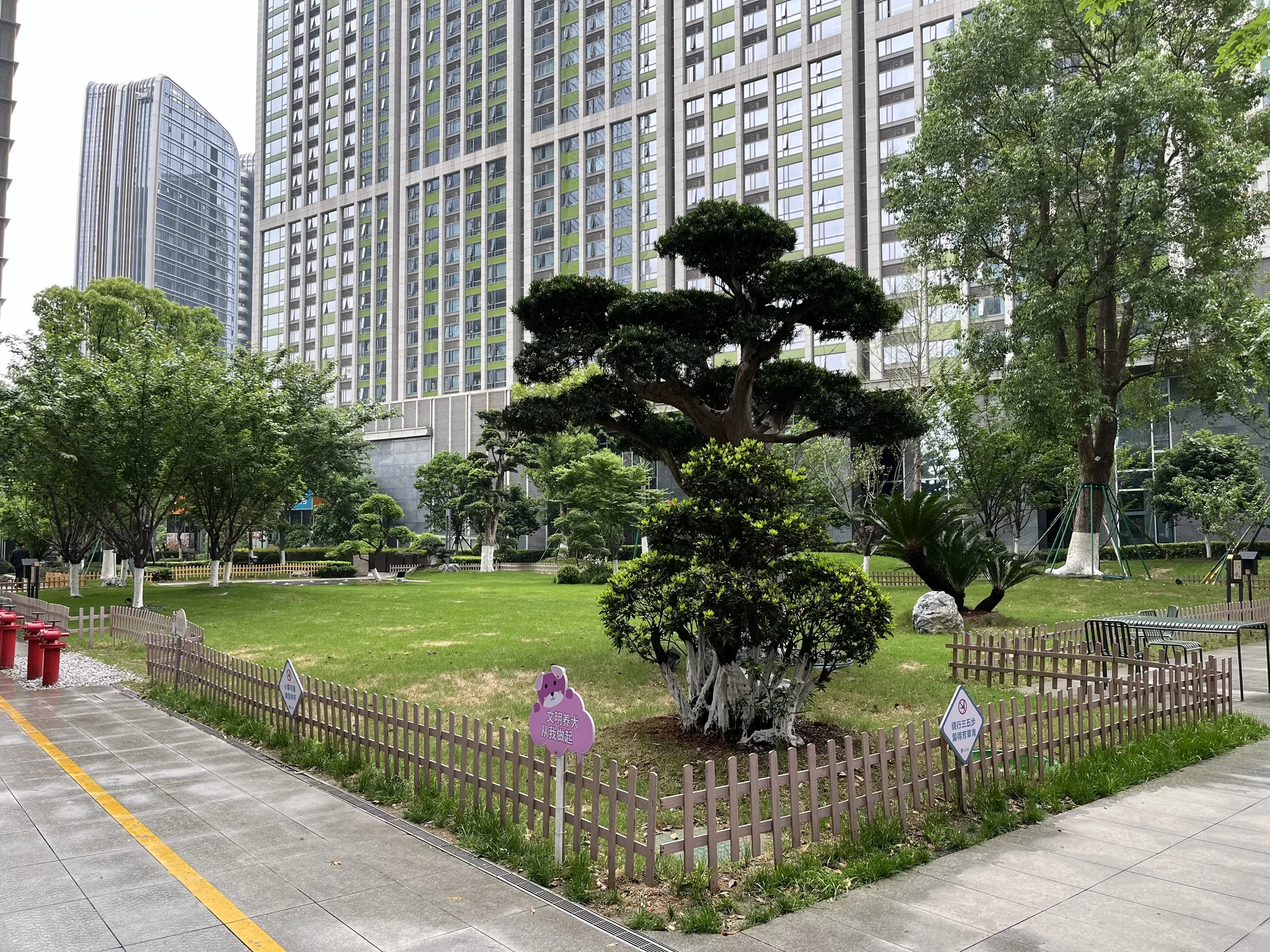 Dark Blue International Center - Photo 5