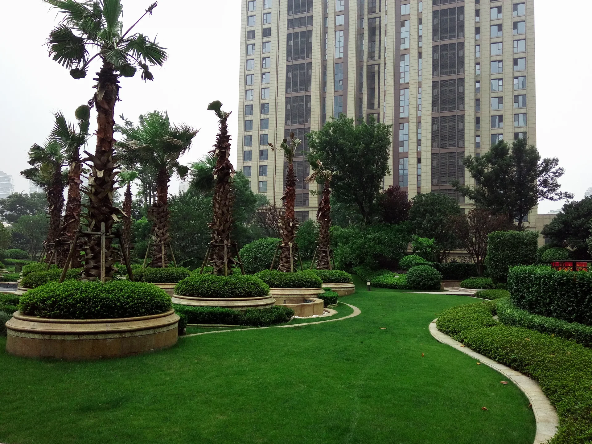 The City Star - Photo 24