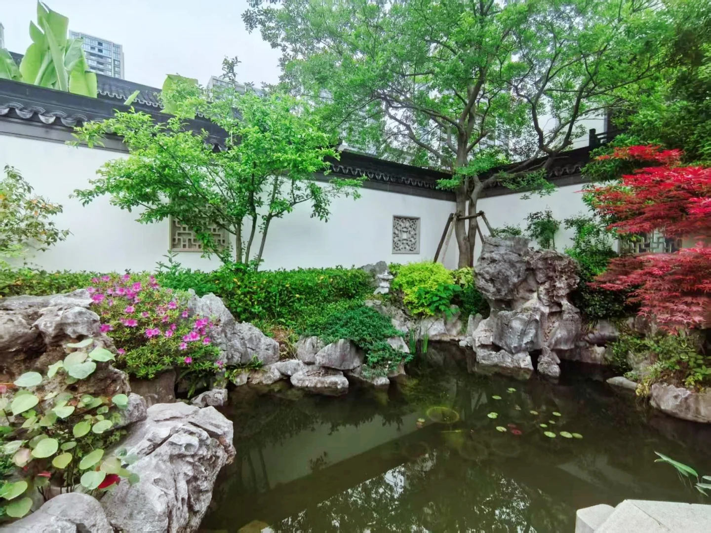 South Lake Moon  - Photo 15