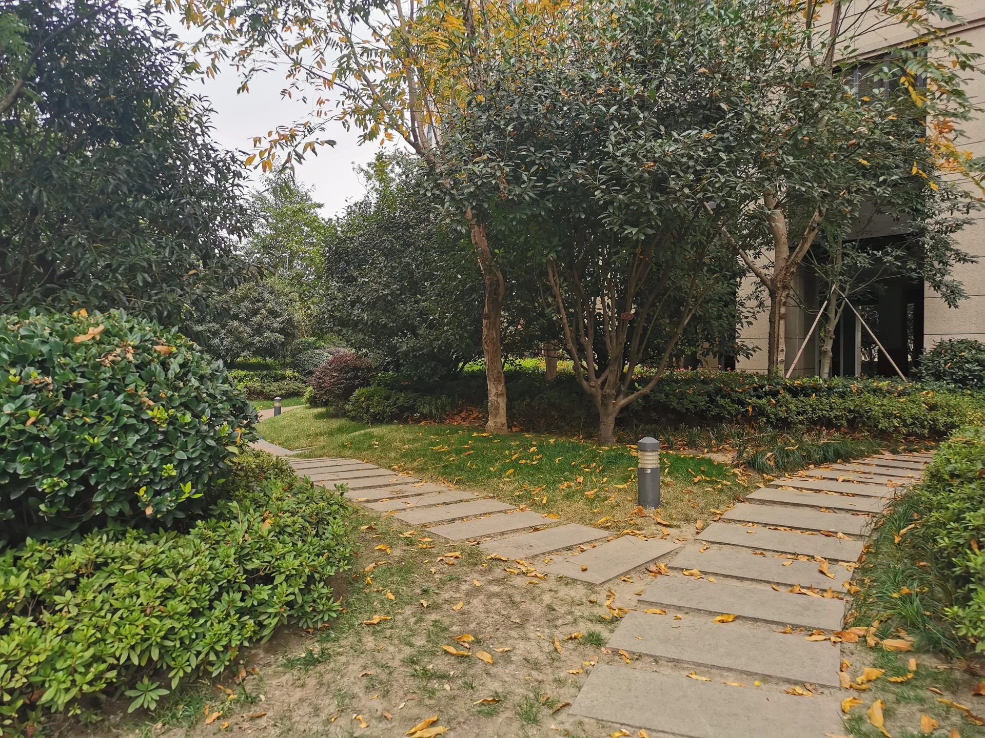 Ganglong City - Photo 5