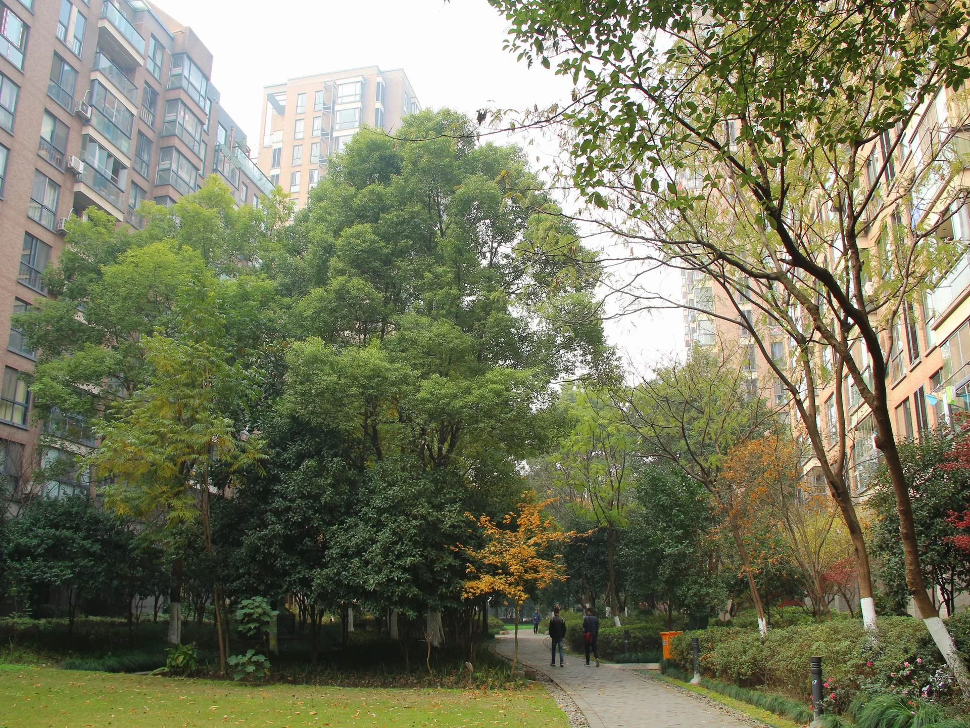 New Century City - Photo 15