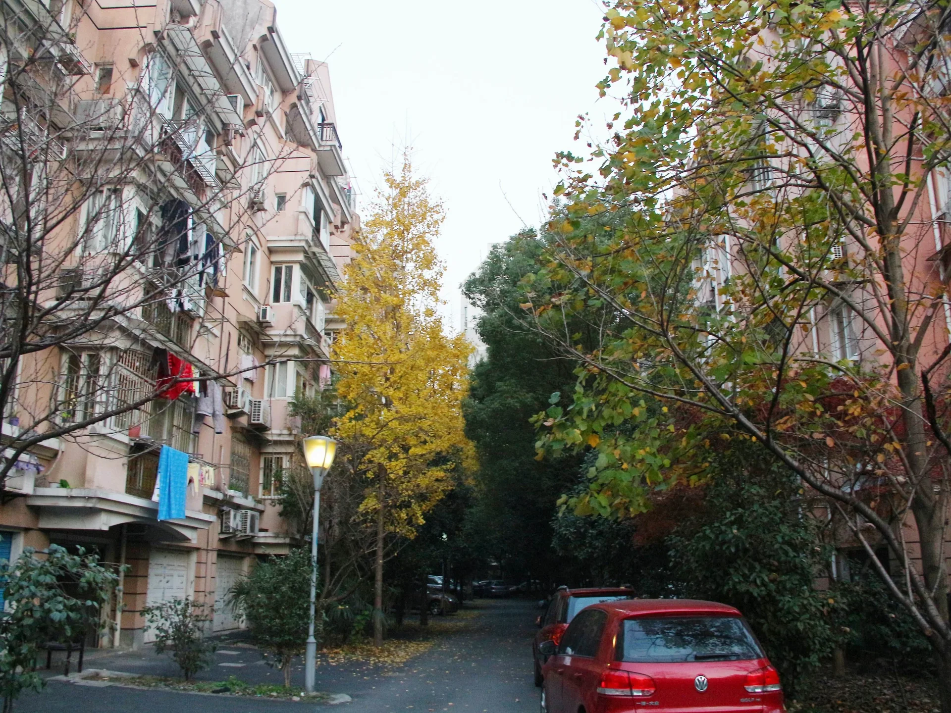 Jialv West Garden - Photo 8