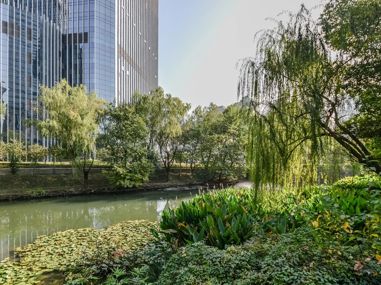 Shi Bao International - Photo 18