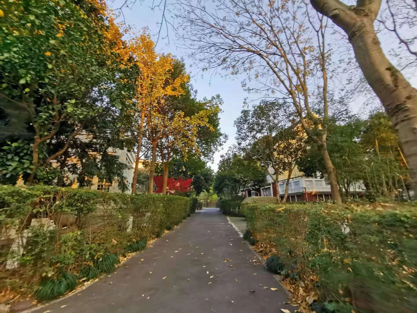 The Moon Bay - Photo 18