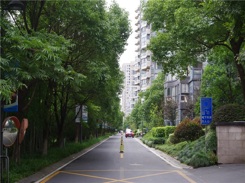 YJ Cultural Garden - Photo 32