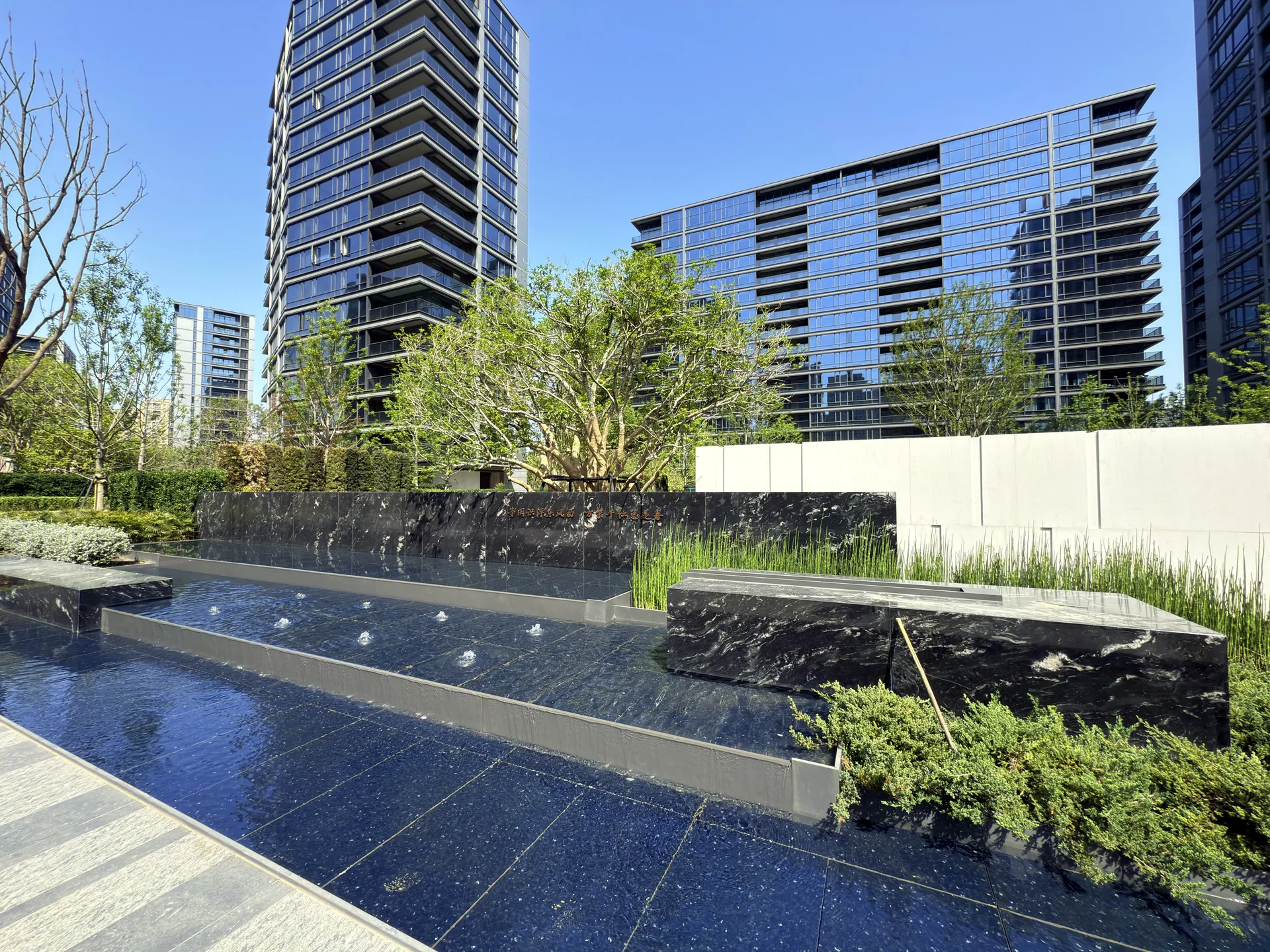 The Blooming Park - Photo 6