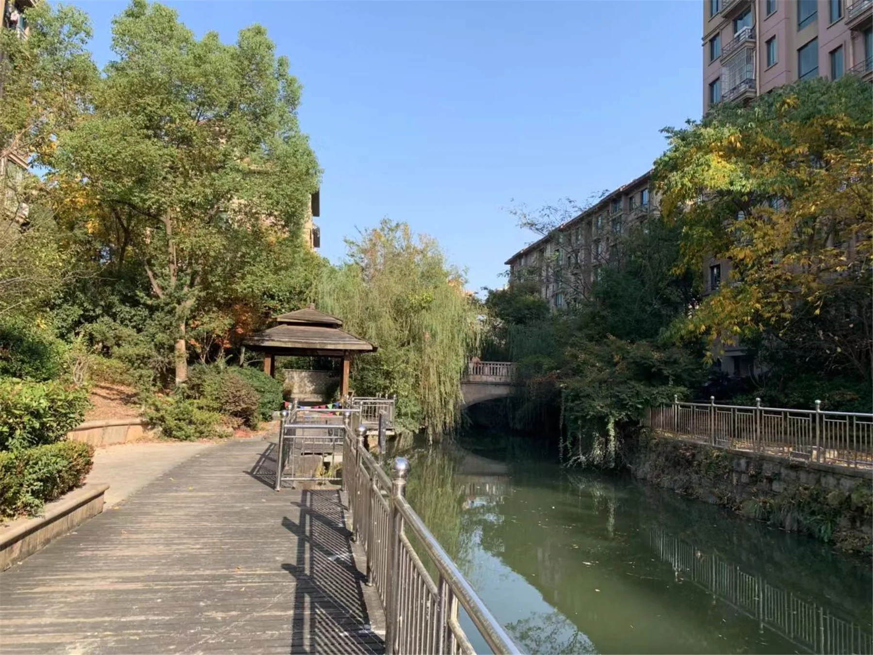 Regal Garden  - Photo 23