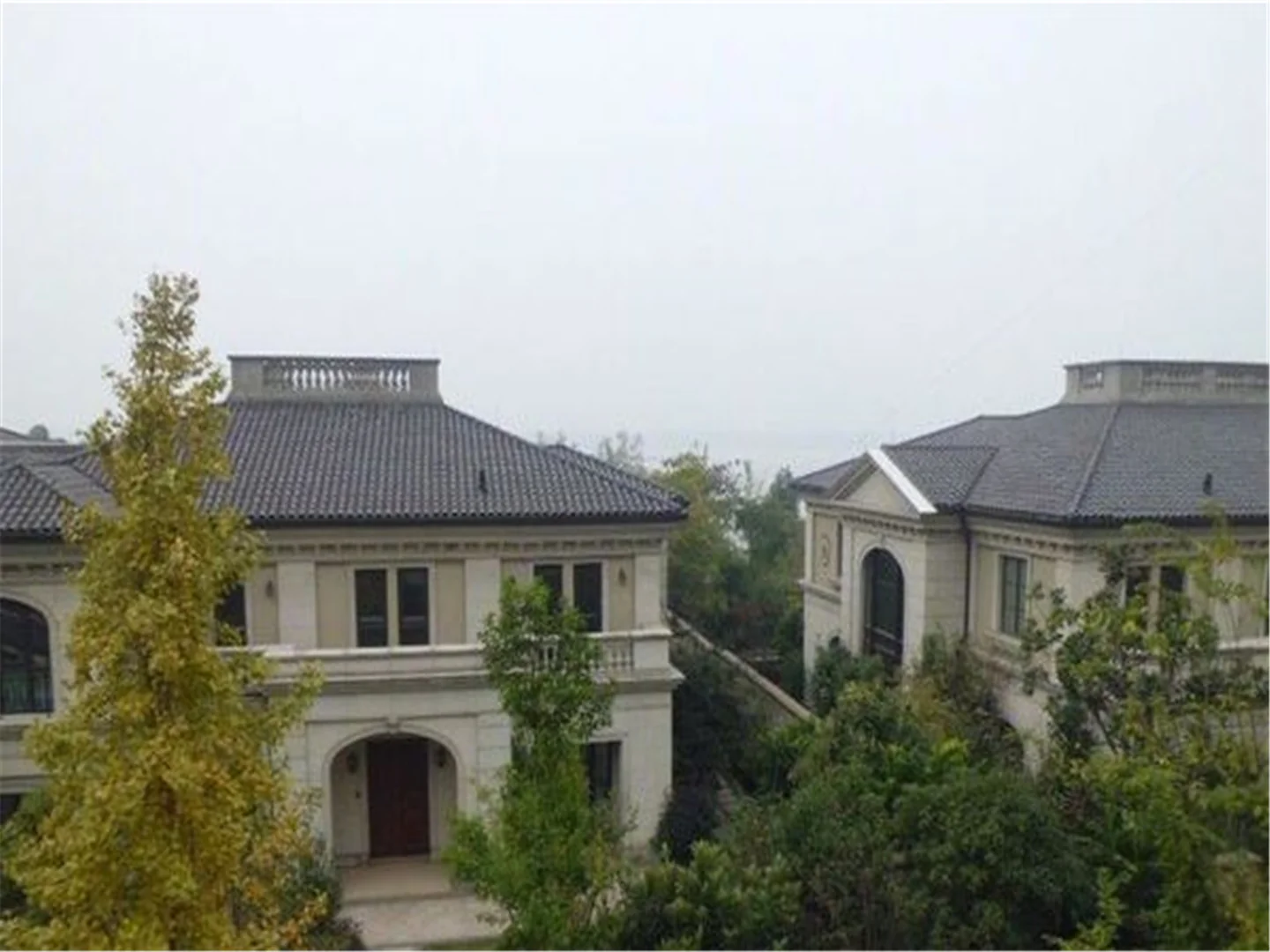 Tulip Shore - Photo 18