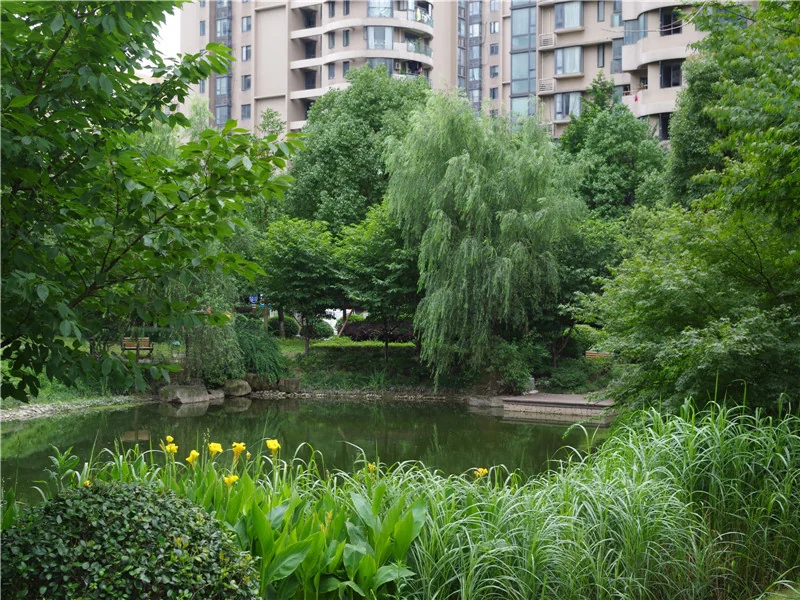 YJ Cultural Garden - Photo 44