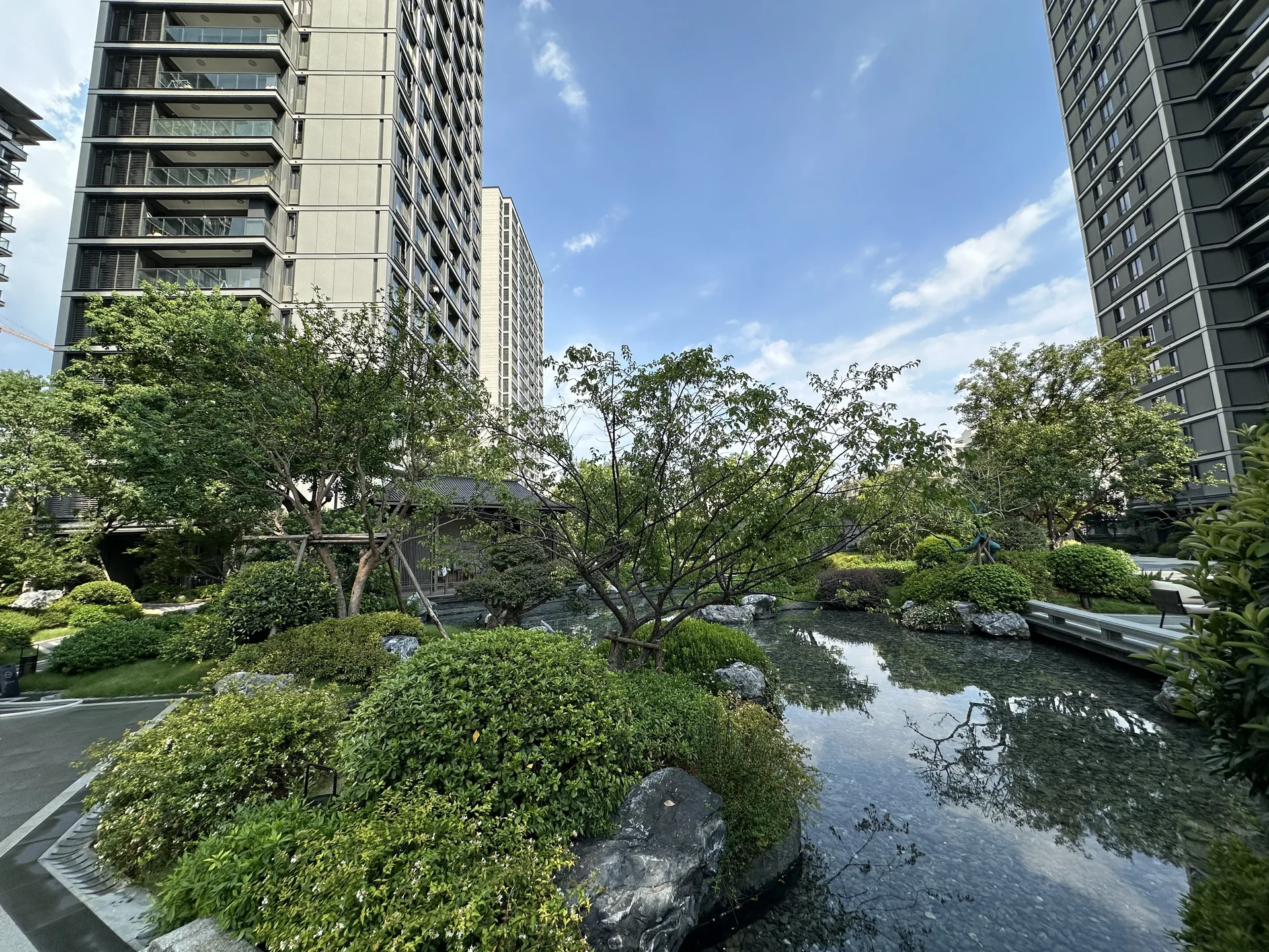 Scholarly Aura Emerald - Photo 7