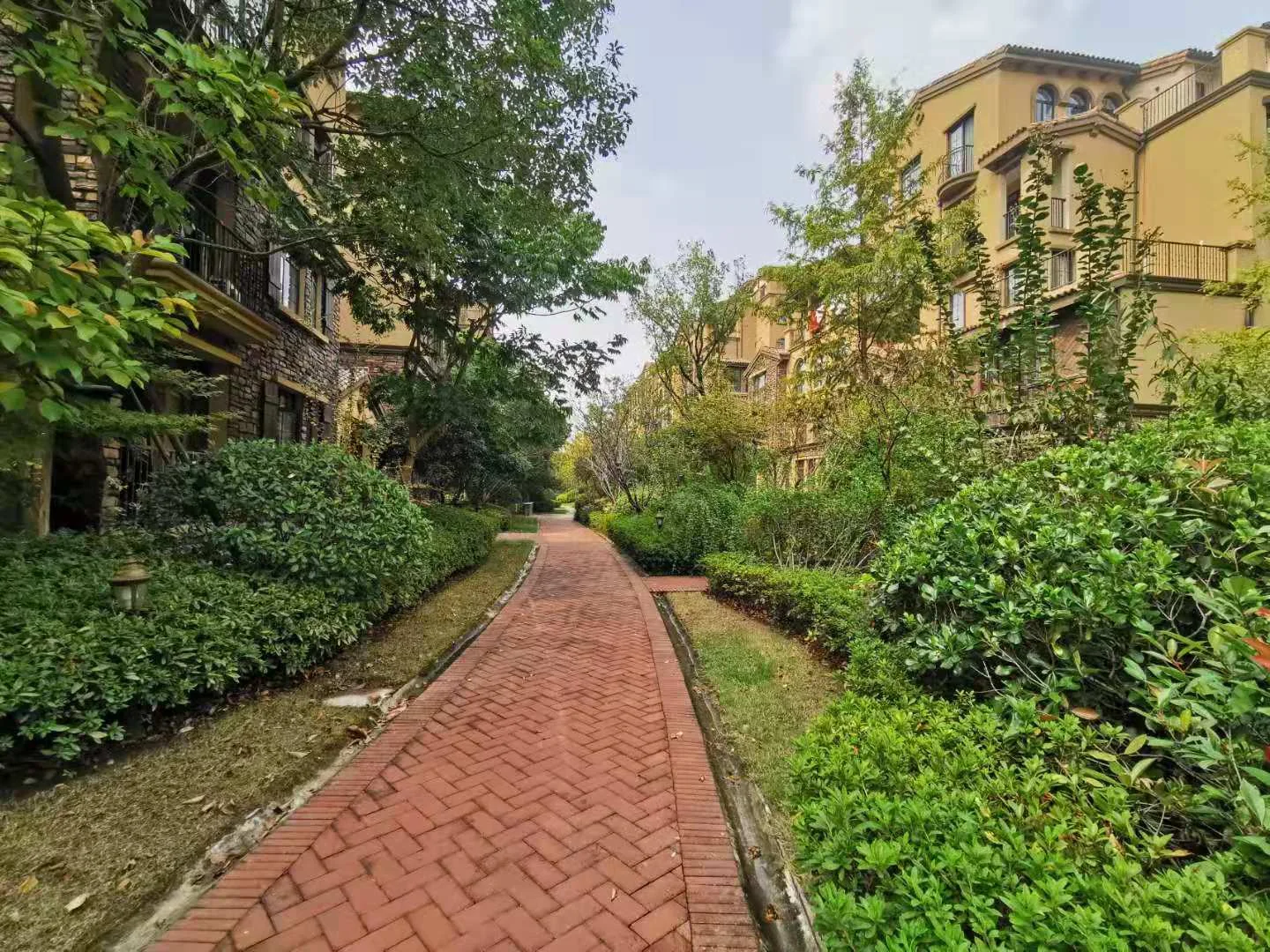 Allinsun Garden - Photo 10