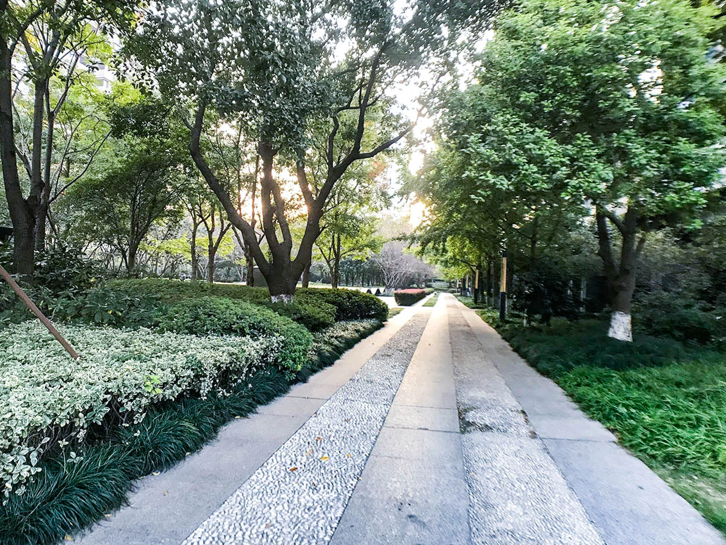 Jindu Matrix - Photo 23