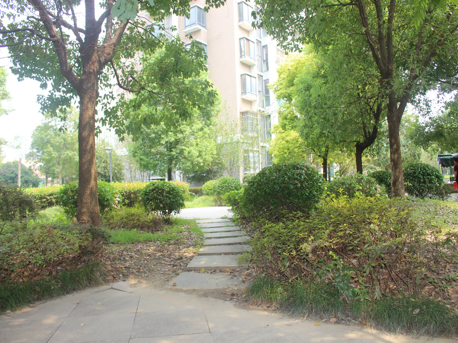 Harmony Garden - Photo 16