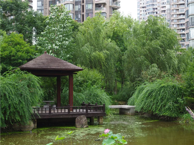 YJ Cultural Garden - Photo 34